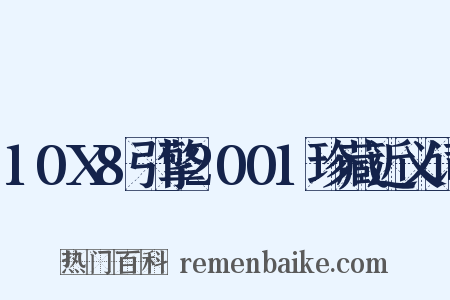 10X8引擎2001珍藏近义词是什么意思的图片